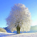 The Lion Tree